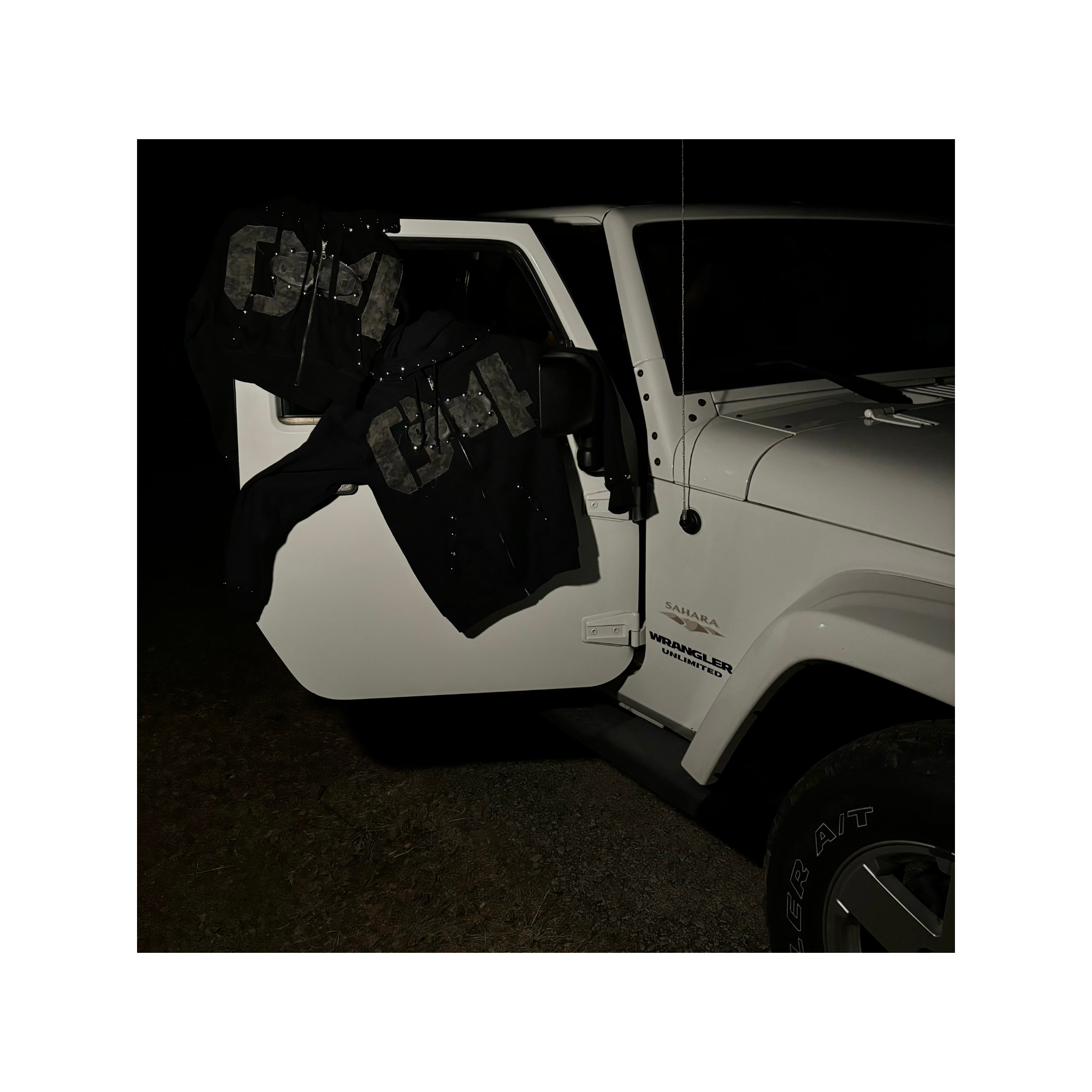 Coio Cropped Signature Hoodie